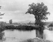 Bear Camp River and Chocorua Mountain, White Mountains, between 1900 and 1906. Creator: Unknown