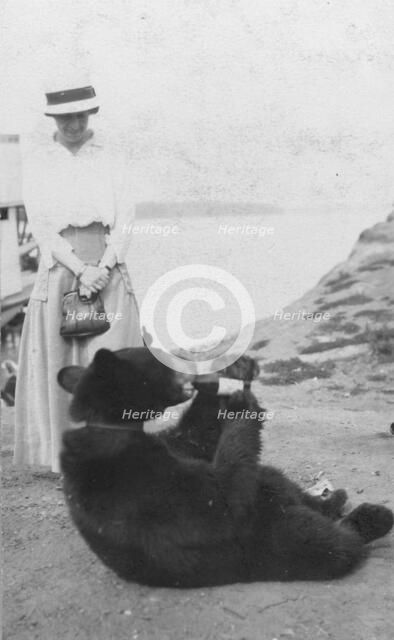 Bear drinking from bottle, between c1900 and 1916. Creator: Unknown.