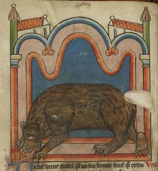 Bear licking a cub into shape, c1230s. Creator: Unknown