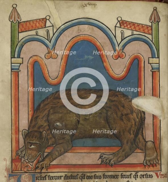 Bear licking a cub into shape, c1230s. Creator: Unknown.