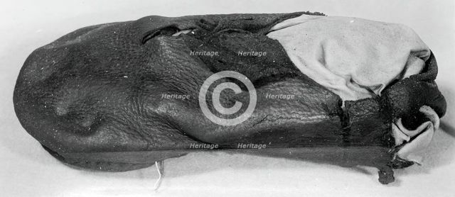 Bear's Paw Shoe, England, 16th century. Creator: Unknown.
