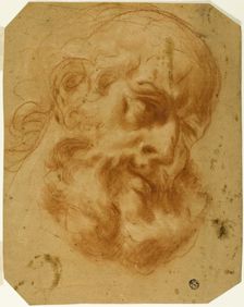 Bearded Head, n.d. Creator: Unknown