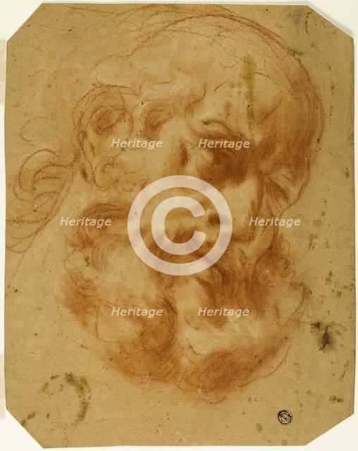 Bearded Head, n.d. Creator: Unknown.