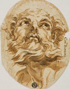 Bearded Head, n.d. Creator: Unknown