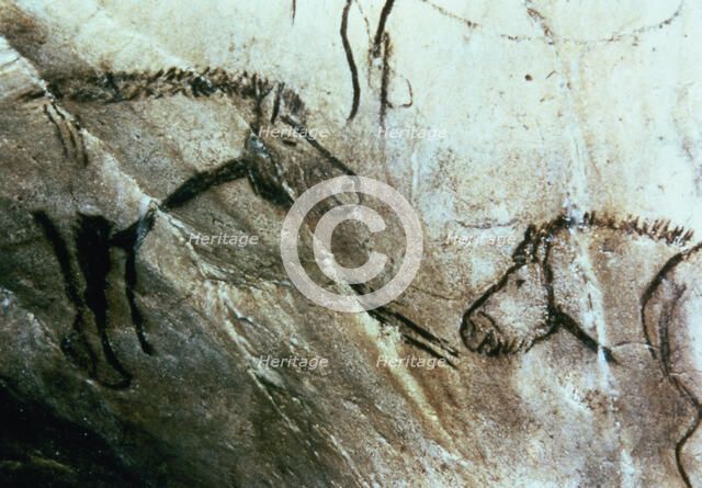 Bearded Horses in the Black Hall (Niaux cave) - panel 3: they are drawn in black by dashed profil…