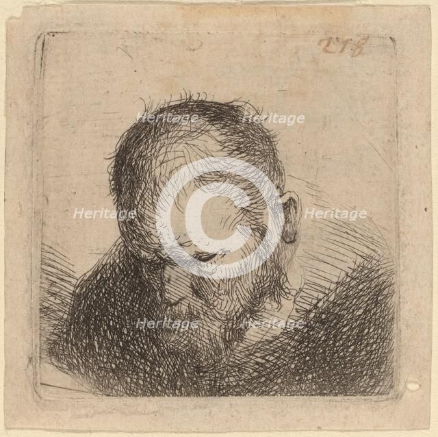 Bearded Man Looking Down, possibly 1631. Creator: Rembrandt Harmensz van Rijn.