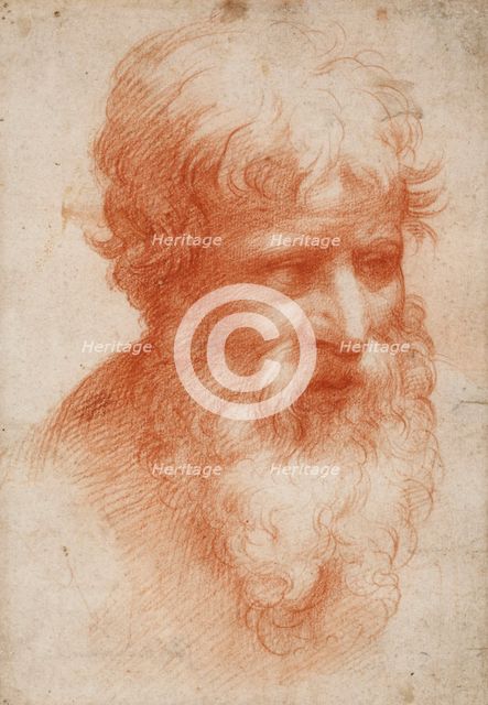 Bearded man's head, c. 1525.