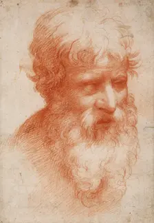 Bearded man's head, c. 1525