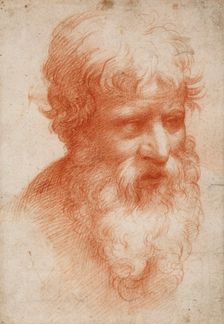 Bearded man's head, c. 1525