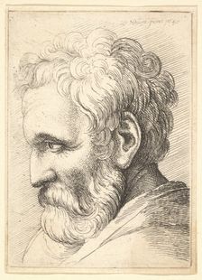 Bearded old man, 1645. Creator: Wenceslaus Hollar