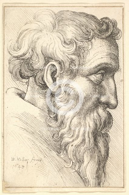 Bearded old man in profile to right, 1645. Creator: Wenceslaus Hollar.