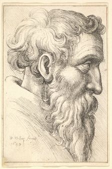 Bearded old man in profile to right, 1645. Creator: Wenceslaus Hollar