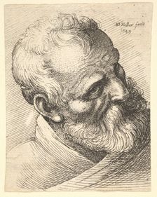 Bearded old man with a tilted head, 1645. Creator: Wenceslaus Hollar