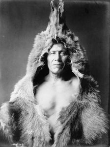 Bear's Belly, Arikara Indian half-length portrait, facing front, wearing bearskin, c1908. Creator: Edward Sheriff Curtis