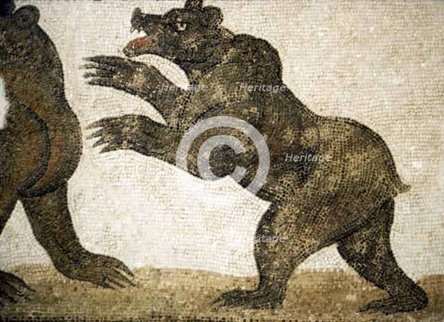 Bears Fighting, detail of Roman floor mosaic, from Utica, Tunisia, c3rd century.  Artist: Unknown.