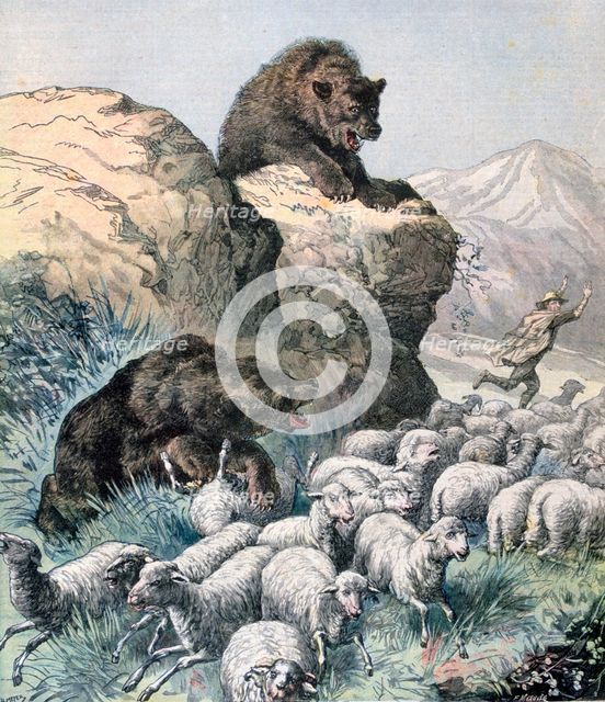 Bears of the Cagyre, 1891.  Creator: F Meaulle.