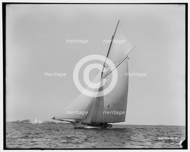 Beatrix, 1891 Aug 29. Creator: Unknown.