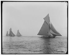 Beatrix, 1891 July 22. Creator: Unknown