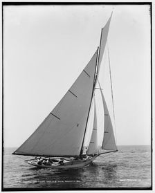 Beatrix, Corinthian sweepstakes, 1891 Aug 17. Creator: Unknown