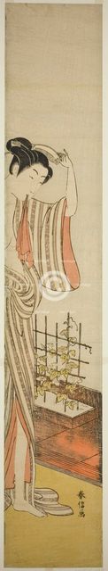 Beauty and Morning Glories, n.d. Creator: Suzuki Harunobu.