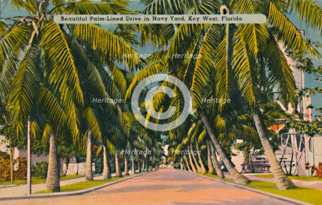 'Beautiful Palm-Lined Drive in Navy Yard, Key West, Florida', c1940s. Artist: Unknown.