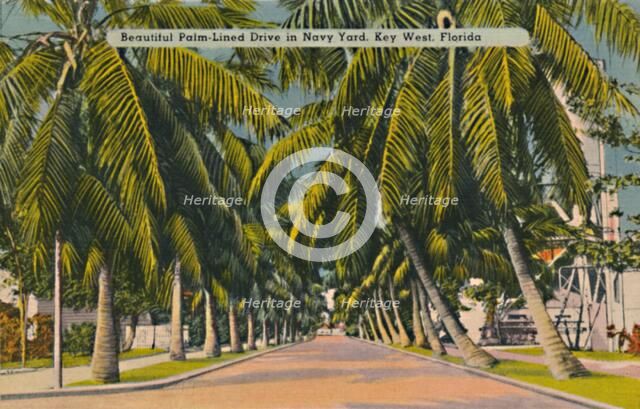 'Beautiful Palm-Lined Drive in Navy Yard, Key West, Florida', c1940s. Artist: Unknown.