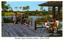 Beautiful Tropical Caribbean Gardens, Naples, Florida, USA, 1962