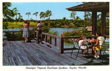 Beautiful Tropical Caribbean Gardens, Naples, Florida, USA, 1962