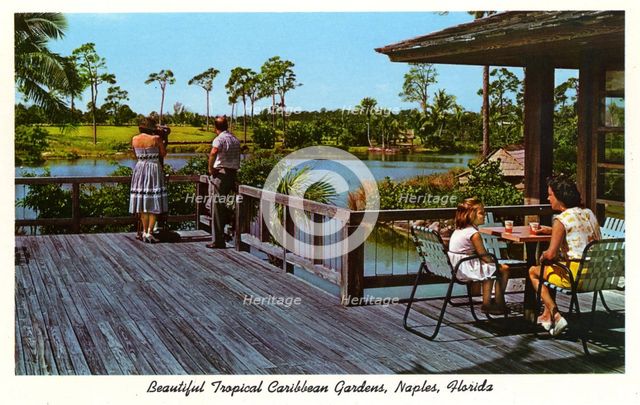 Beautiful Tropical Caribbean Gardens, Naples, Florida, USA, 1962. Artist: Unknown