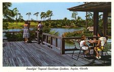 Beautiful Tropical Caribbean Gardens, Naples, Florida, USA, 1962