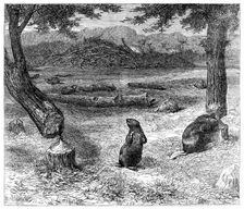 Beavers cutting down trees, 1862. Creator: Unknown
