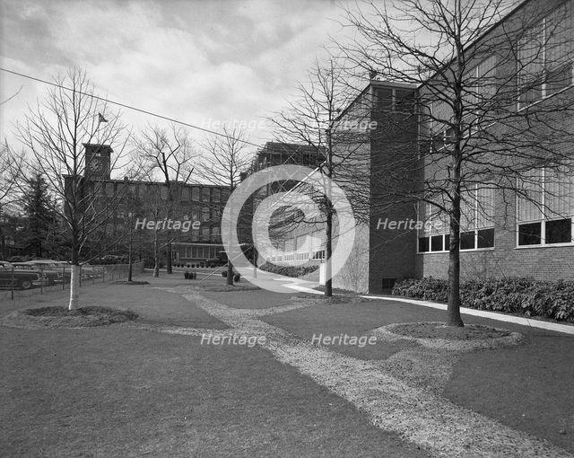Becton Dickinson & Co., Rutherford, New Jersey, 1954. Creator: Gottscho-Schleisner, Inc.