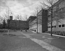 Becton Dickinson & Co., Rutherford, New Jersey, 1954. Creator: Gottscho-Schleisner, Inc