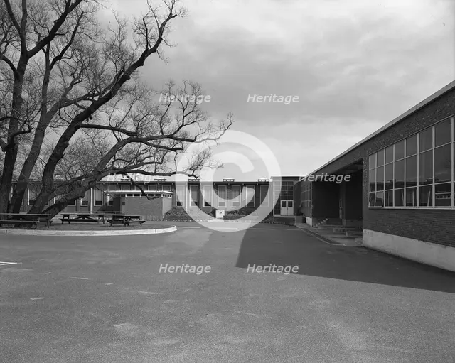 Becton Dickinson & Co., Rutherford, New Jersey, 1954. Creator: Gottscho-Schleisner, Inc.