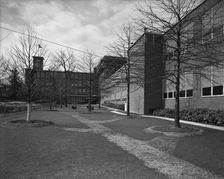 Becton Dickinson & Co., Rutherford, New Jersey, 1954. Creator: Gottscho-Schleisner, Inc