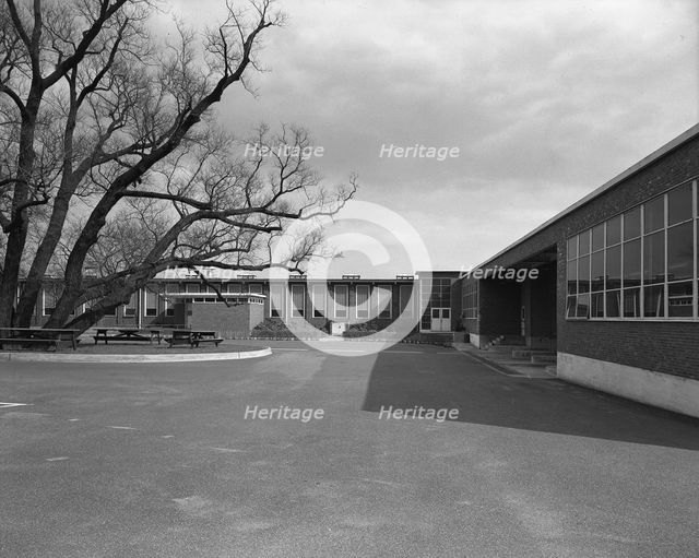 Becton Dickinson & Co., Rutherford, New Jersey, 1954. Creator: Gottscho-Schleisner, Inc.