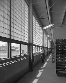 Becton Dickinson & Co., Rutherford, New Jersey, 1954. Creator: Gottscho-Schleisner, Inc