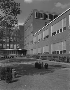 Becton Dickinson, East Rutherford, New Jersey, 1953. Creator: Gottscho-Schleisner, Inc