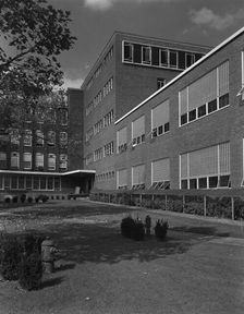 Becton Dickinson, East Rutherford, New Jersey, 1953. Creator: Gottscho-Schleisner, Inc