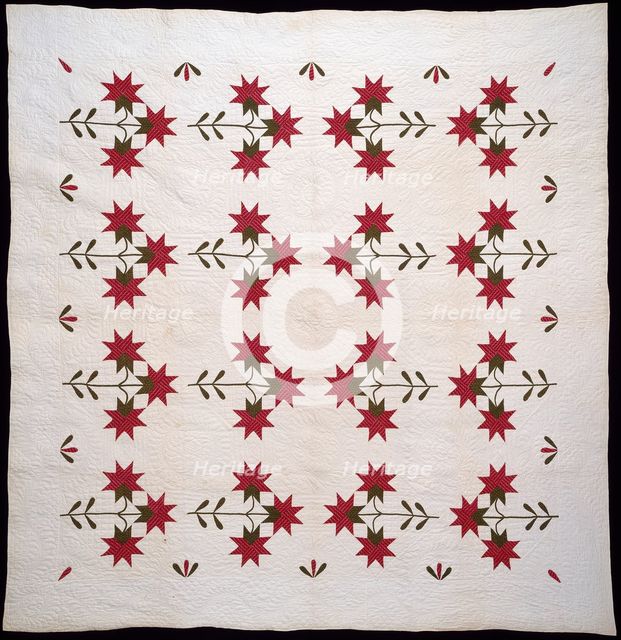 Bedcover (North Carolina Lily Quilt), United States, c.1850. Creator: Unknown.
