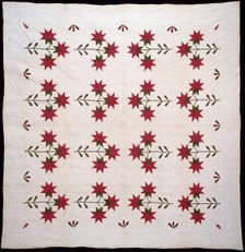 Bedcover (North Carolina Lily Quilt), United States, c.1850. Creator: Unknown