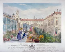 Bedford Conservatories terrace at Covent Garden Market, Westminster, London, 1831. Artist: Henry Pyall