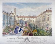 Bedford Conservatories terrace at Covent Garden Market, Westminster, London, 1831. Artist: Henry Pyall