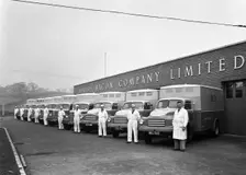 Bedford delivery lorries at the Danish Bacon Co, Kilnhurst, South Yorkshire, 1957. Creator: Michael Walters