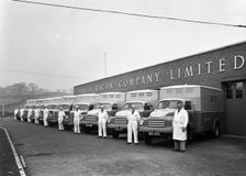 Bedford delivery lorries at the Danish Bacon Co, Kilnhurst, South Yorkshire, 1957. Creator: Michael Walters
