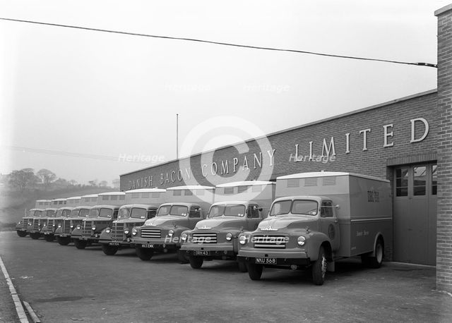 Bedford delivery lorries at the Danish Bacon Co, Kilnhurst, South Yorkshire, 1957.  Creator: Michael Walters.