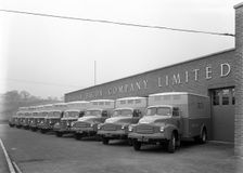 Bedford delivery lorries at the Danish Bacon Co, Kilnhurst, South Yorkshire, 1957. Creator: Michael Walters