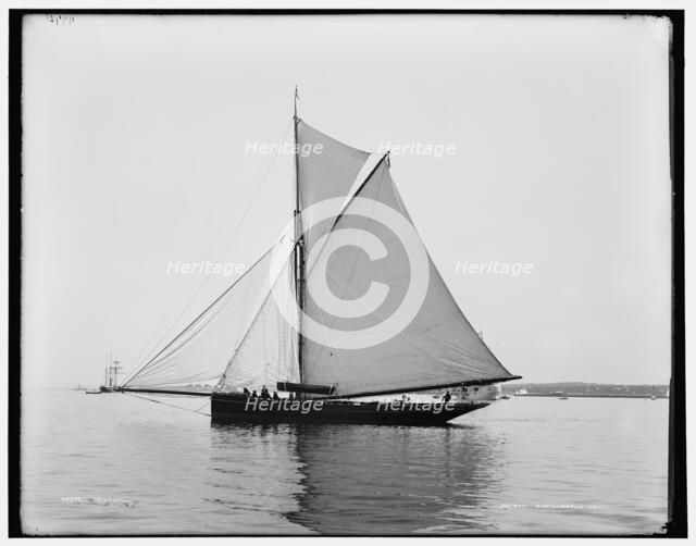Bedouin, between 1880 and 1899. Creator: Unknown.