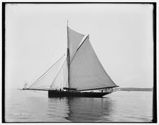 Bedouin, between 1880 and 1899. Creator: Unknown