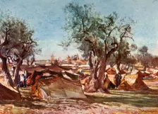 Bedouin Encampment Outside the North Wall of Jerusalem 1902. Creator: John Fulleylove